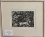 Mickelham Yews III by Paul Drury